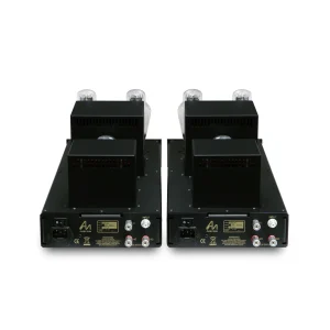 Audio Note Kassai Mono Power Amplifiers Rear