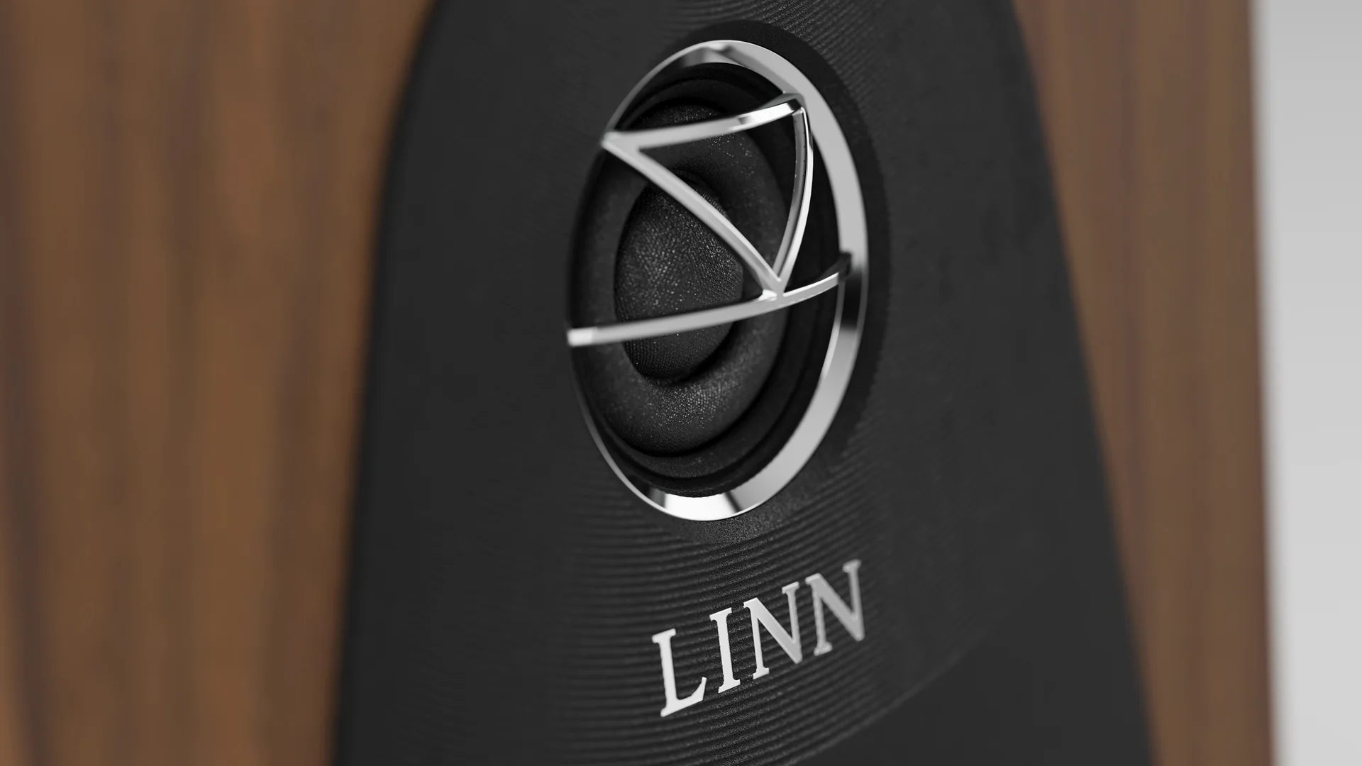 Linn 119 Loudspeaker Tweeter Close Up