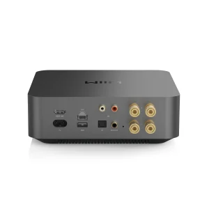 WiiM Amp Pro Rear Panel